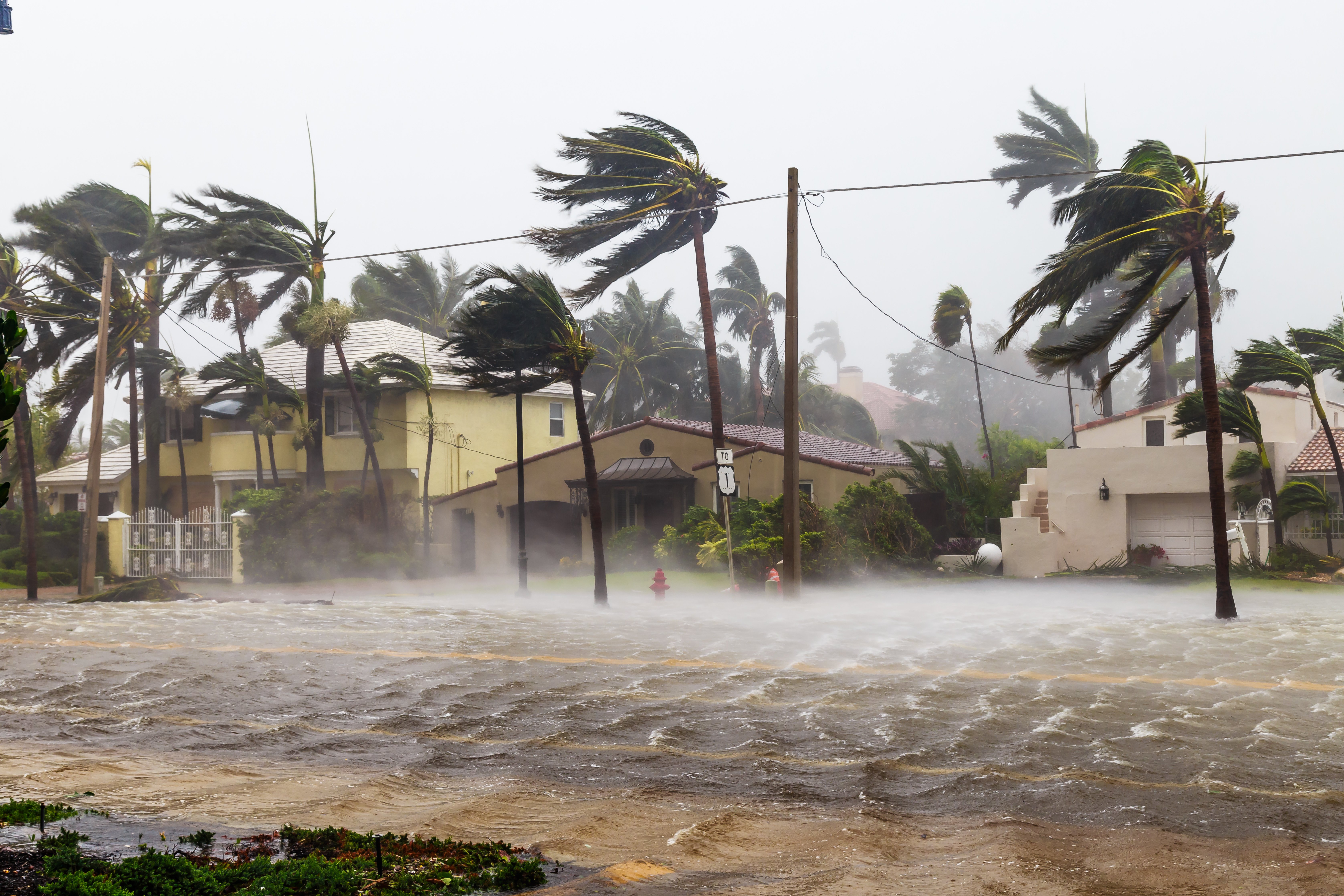 A flooded street during a storm. 