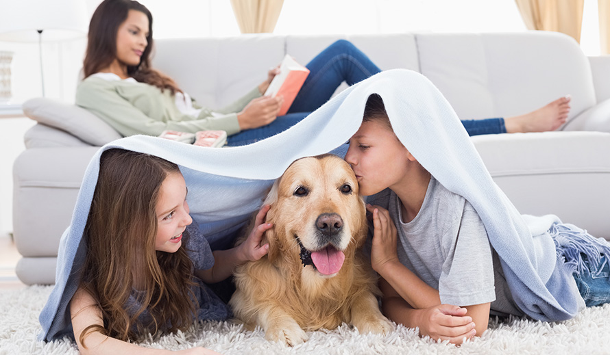  Los niños juegan con el perro mientras la madre lee.